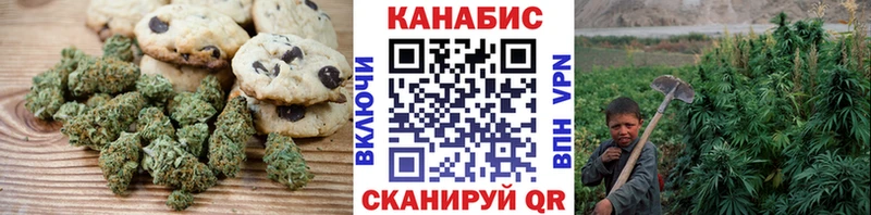 как найти закладки  Ковылкино  Cannafood конопля 