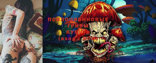 герыч Алексин