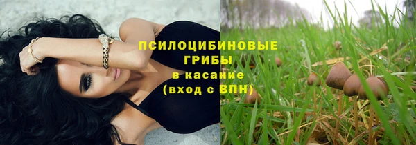 герыч Алексин