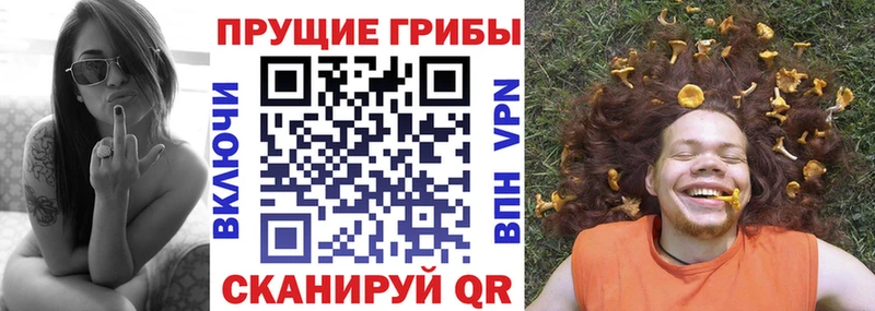blacksprut зеркало  Ковылкино  Галлюциногенные грибы MAGIC MUSHROOMS 